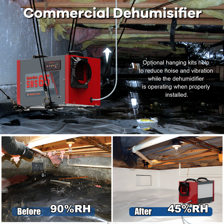 Abestorm 120 PPD Crawl Space Dehumidifier with Pump and Drain Hose | Guardian SNS65