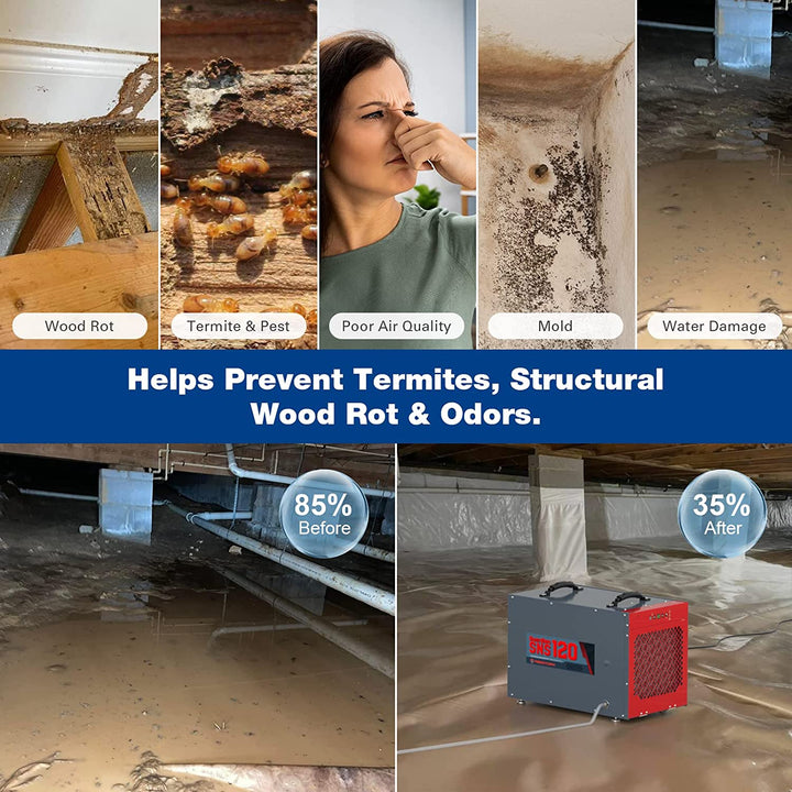 Abestorm 235 PPD Crawl Space Dehumidifier with Pump and Drain Hose | Guardian SNS120