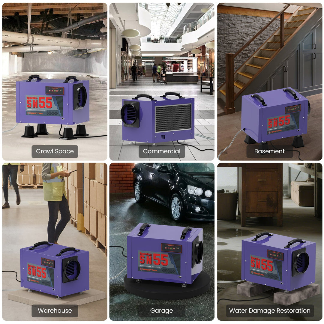 Abestorm 113 PPD Crawl Space Dehumidifier with Drain Hose(Purple) | Guardian SN55