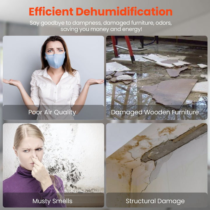 Abestorm 113 PPD Crawl Space Dehumidifier with Drain Hose(Purple) | Guardian SN55